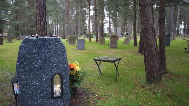 Wandelen in het kerkhof park tussen de graven op een herfstdag. - Video