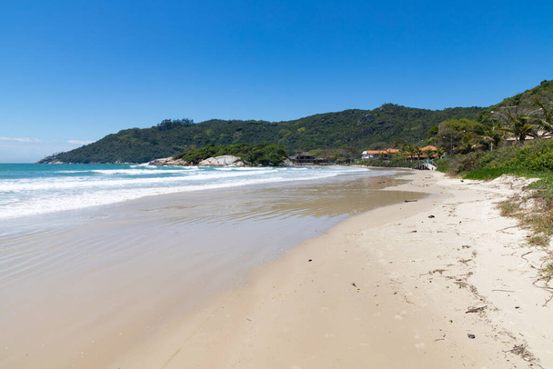 Пляж з хвилями, скелями, піском і лісом, пляж Canto Grande fora, Бомбінас, Санта - Катаріна, Бразилія. - Фото, зображення
