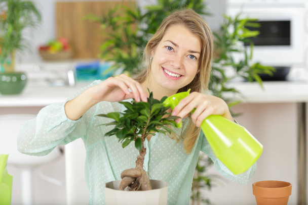 a woman is watering a bonsai - Foto, afbeelding