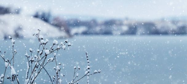 Zimní krajina se zasněženými suchými větvemi rostlin na břehu řeky během sněžení - Fotografie, Obrázek