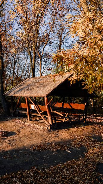 Shed in a woods. House near a lake or pond, river or bay. Beautiful autumn, yellow leaves and trees. Picnic in nature. Autumn holidays in the forest. Walk in the autumn park. Camping. - Foto, imagen