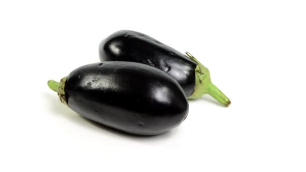 Eggplant  on white background - Footage, Video