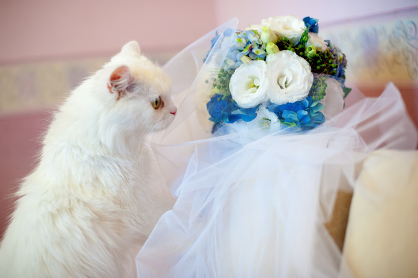 白猫と美しいウェディング ブーケ - 写真・画像