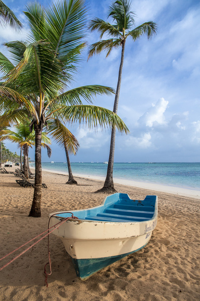 Boat on the beach - Photo, Image