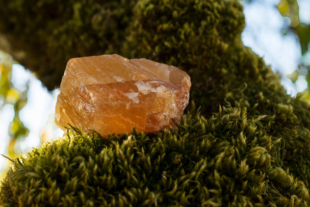 Зображення великого шматка медового кальциту на гілці дерева, яка покрита товстим зеленим мохом
.  - Фото, зображення