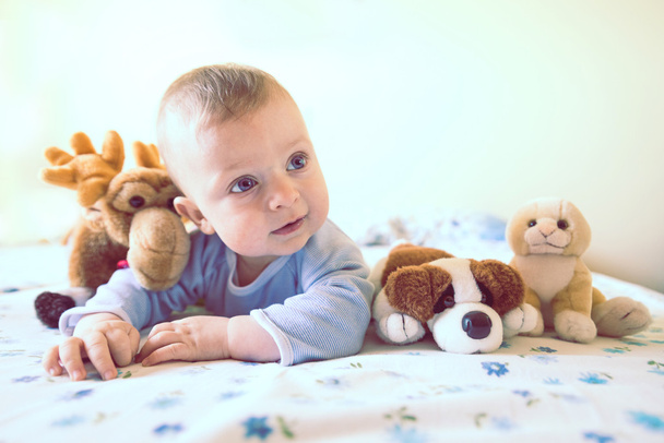 Младенец и игрушки
 - Фото, изображение