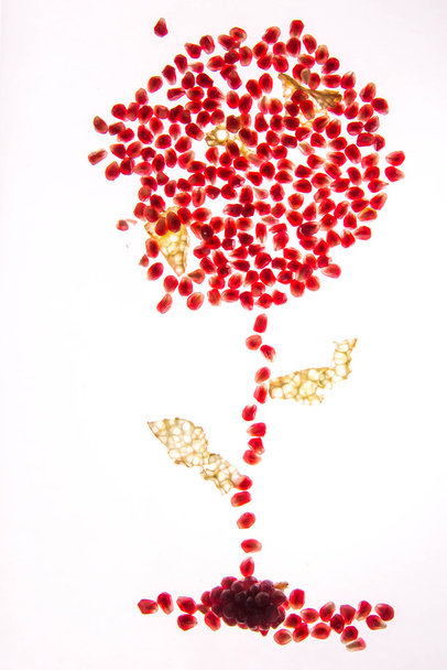 granaattiomenan taustavalaistut siemenet
 - Valokuva, kuva