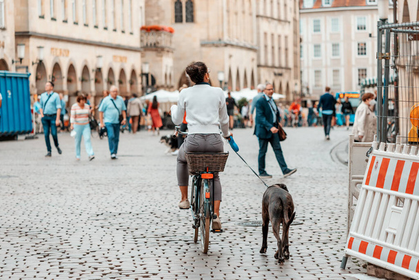 26 Temmuz 2022, Munster, Almanya: Köpeğiyle birlikte şehir caddesinde bisiklet süren kız - Fotoğraf, Görsel