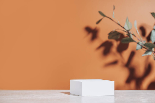 Natural empty background for cosmetic product presenation, packaging mockup made with white square podium and eucalyptus. Minimal nature scene. Front view, copy space. - Фото, зображення