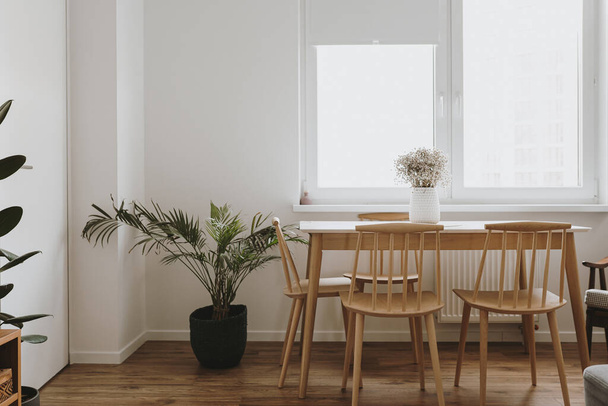 Moderni minimaalinen koti, olohuone sisustus käsite. Valkoiset seinät, ruokapöytä, tuolit, puulattia, kämmen. Huoneisto vuokrattavana. - Valokuva, kuva
