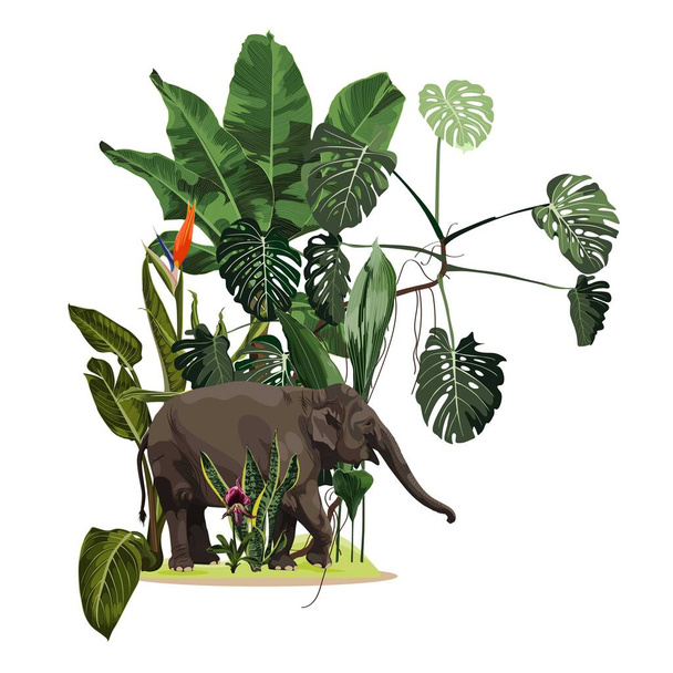Temporada Abstracto Naturaleza Banner Fondo. Plantas de la selva, animal elefante de dibujos animados con flores exóticas. Elemento de carta exótica con hojas tropicales. - Vector, imagen