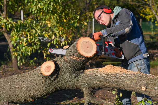 Ένας άνθρωπος πριονίζει ξύλο με αλυσοπρίονο. κοπή κορμού δέντρου - Φωτογραφία, εικόνα