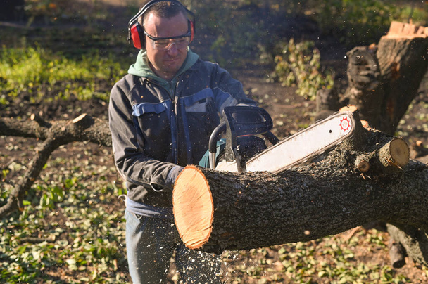 Bir adam elektrikli testere ile bir ağacı kesiyor. Talaş uçuyor.. - Fotoğraf, Görsel