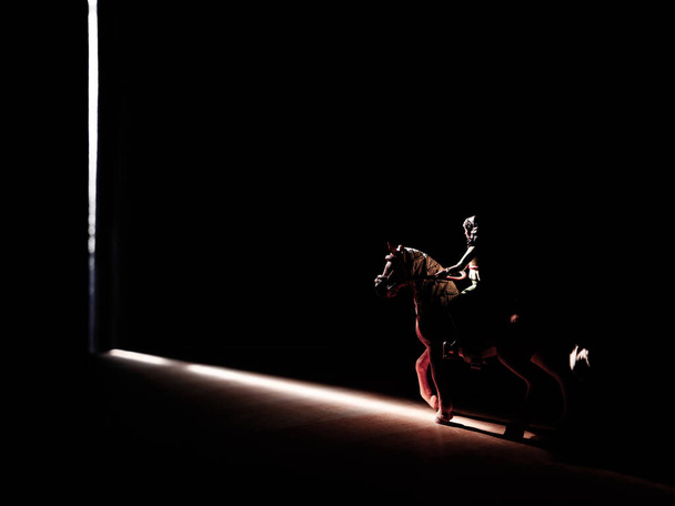Τραβήξτε μια φωτογραφία μια φιγούρα άλογο schleich - Φωτογραφία, εικόνα