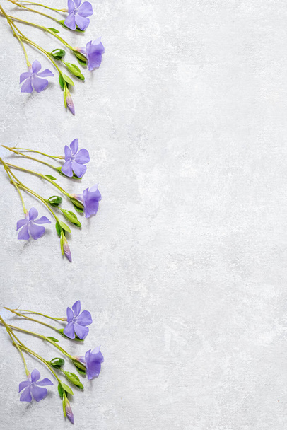 Floral border of lilac delicate flowers on a gray background. Spring concept. Copy space. Vertical photo - Foto, imagen