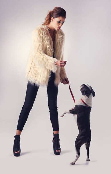 いい子だな。スタジオショットの若い女性のポーズとともに彼女の犬に対して灰色の背景 - 写真・画像