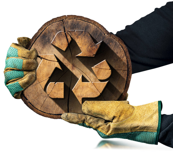 白い背景に隔離された木製のリサイクルシンボルを持つ木の幹の断面を保持手袋を手。持続可能な資源概念. - 写真・画像