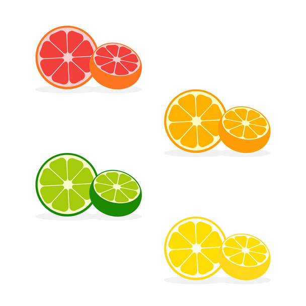 Fatias de laranja, limão, limão e toranja. Fatias de citrinos. Ilustração vetorial - Vetor, Imagem