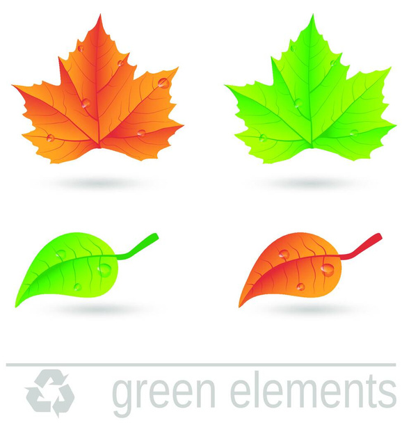 elementos de diseño verde conjunto vector ilustración - Vector, imagen