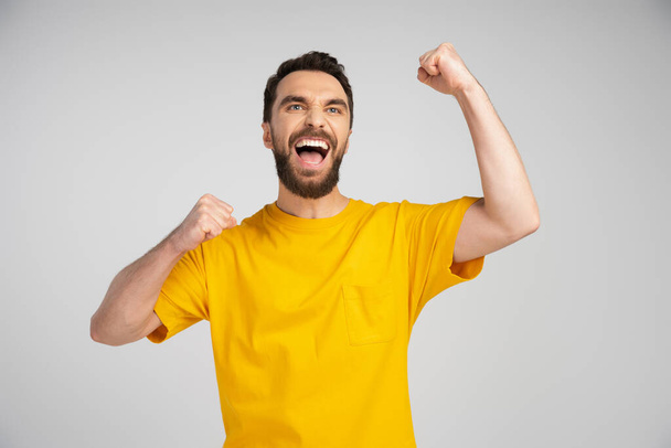 joyful bearded man screaming and showing triumph gesture while looking away isolated on grey - 写真・画像