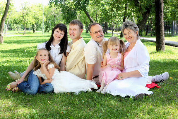 Розширена сім'я разом у парку
 - Фото, зображення