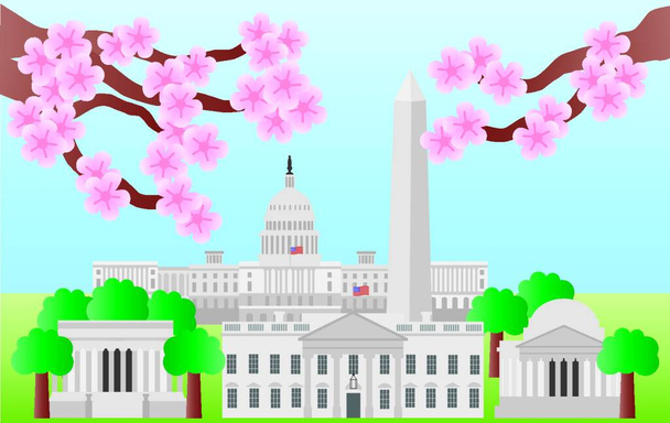 Washington dc Wahrzeichen mit Kirschblüte - Vektor, Bild