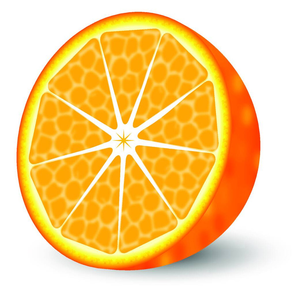 Ilustración naranja, ilustración vectorial  - Vector, imagen