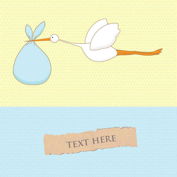 Baby arrival card with stork that brings a cute boy - Φωτογραφία, εικόνα