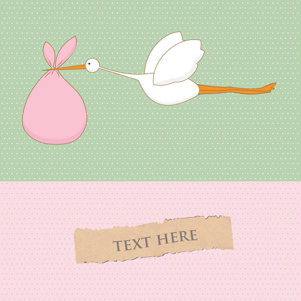 Baby arrival card with stork that brings a cute girl - Φωτογραφία, εικόνα
