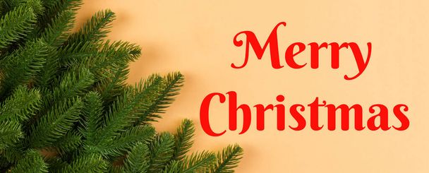 Merry Christmas text. Top view Banner of green fir tree branches on colorful background. New year holiday concept with empty space for your design. - Foto, immagini