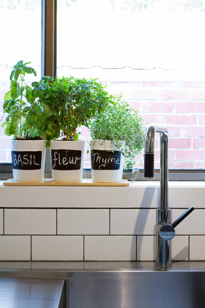Gyógynövények a modern konyhai ablakpárkányon függőleges edények - Fotó, kép