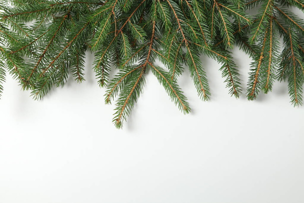Vakantie wenskaart of banner compositie met dennenbomen takken. Vrolijk kerstfeest en gelukkig nieuwjaar 2023. - Foto, afbeelding