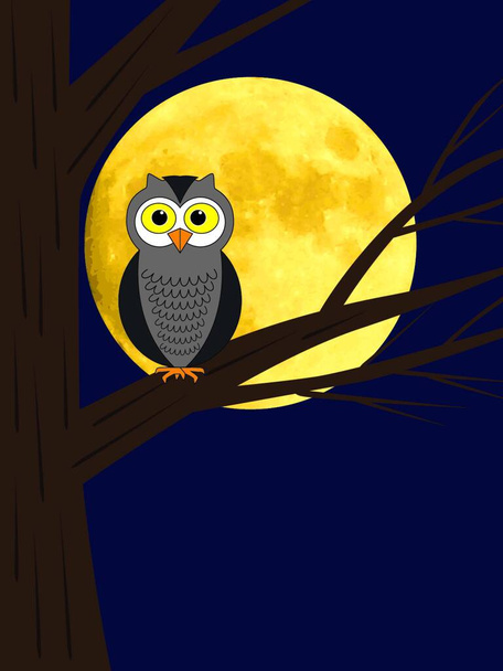 owl bird, web simple illustration - Vettoriali, immagini