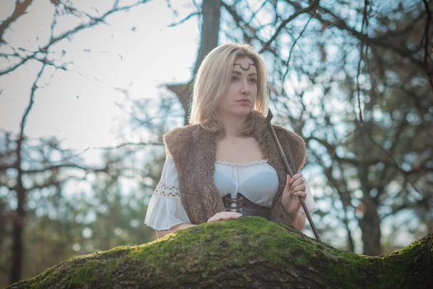 Ilustración de estilo escandinavo antiguo. Concepto de mundo nórdico o celta, mujer vestida de norte en el bosque - Foto, Imagen