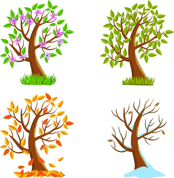 Four Seasons Tree, simple vector illustration  - Vector, afbeelding