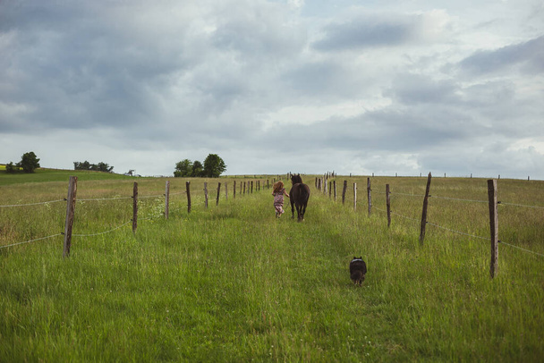 Žena běžící vedle vyhlídkové fotografie koní. Milé zvíře. Obrázek dámy se zelenými pastvinami na pozadí. Vysoce kvalitní tapety. Foto koncept pro reklamy, cestovní blog, časopis, článek - Fotografie, Obrázek