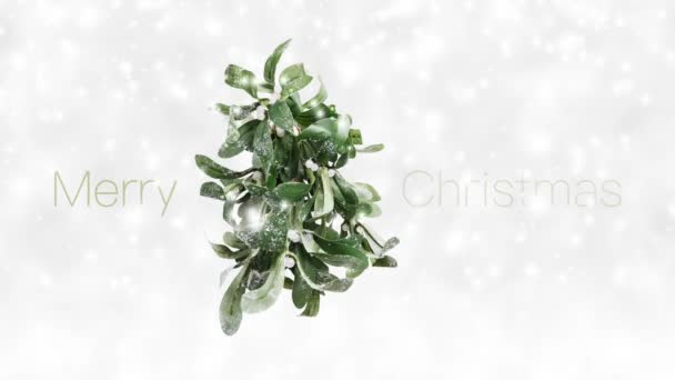 Wesołych Świąt tekst i zielony jemioła z białymi jagodami izolowane na tle śniegu, biały wzór koncepcja Bożego Narodzenia do powitania karty podarunkowej lub baner reklamowy promocji - Materiał filmowy, wideo