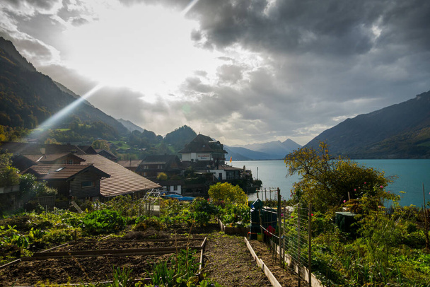 スイスとスイスの村にある壮大なブリエンツェルン湖 - 写真・画像