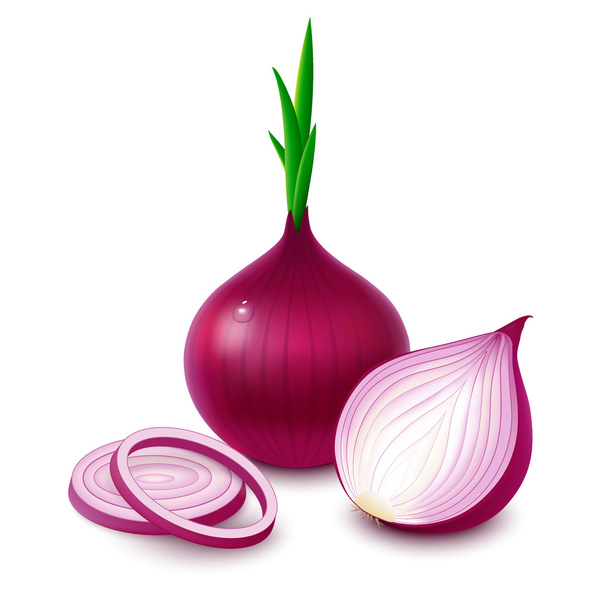 Red onion on white background - Vector, imagen