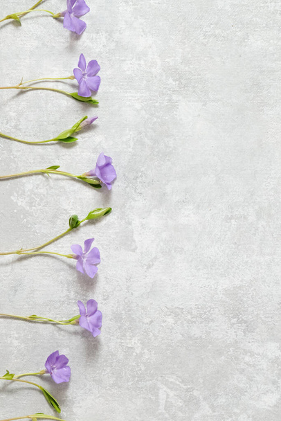 Borde floral de flores delicadas lila sobre un fondo gris. Concepto de primavera. Copiar espacio. Foto vertical - Foto, Imagen