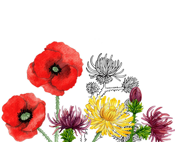 Hand drawn border with watercolor Poppies, flax, calendula, thistle and dandelion - Foto, imagen