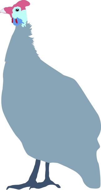απεικόνιση της φραγκόκοτας - Διάνυσμα, εικόνα