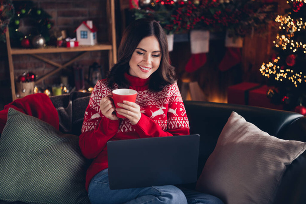 Portrait of gorgeous cheerful person sit sofa hold fresh hot cacao mug use netbook festive atmosphere indoors. - Zdjęcie, obraz