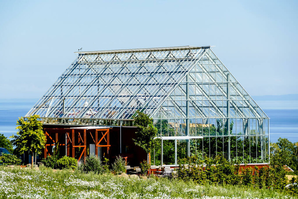 skleník s mladé rostliny - Fotografie, Obrázek