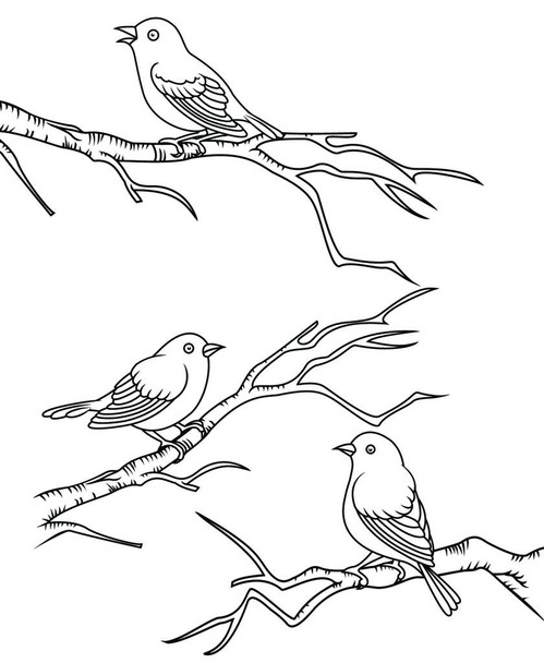 Aves sentadas em uma ilustração vetorial de ramos - Vetor, Imagem