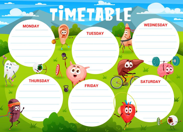 Education timetable cartoon human organs sportsman characters. School time table vector template with healthy tooth, ear, nose or eye, liver, kidney or bladder with heart and brain personages on field - Vector, Image