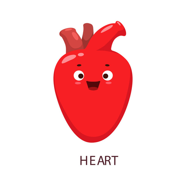 Κινούμενο σχέδιο κόκκινο καρδιά ανθρώπινο όργανο του σώματος χαρακτήρα. Διάνυσμα προσωπικότητας της καρδιακής ανατομίας και καρδιολογίας. Χαριτωμένη καρδιά με υγιή στεφανιαία αρτηρία, αορτή αίματος και φλέβα, αστείο πρόσωπο και χαρούμενο χαμόγελο - Διάνυσμα, εικόνα