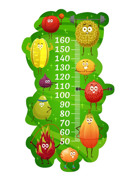 Tableau des tailles pour enfants, fruits exotiques en forme. Compteur de croissance, autocollant vectoriel avec échelle et dessin animé papaye, pêche, carambole et figue, litchi, durian et mandarine, melon et goyave caractères - Vecteur, image
