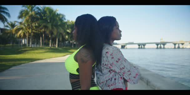 Két afro-amerikai fiatal nő lassú mozgása, akik a kamera előtt mosolyognak, miközben háttal állnak egy vízközeli parkban. - Felvétel, videó