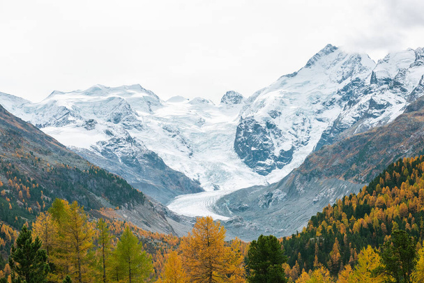 Мальовничий гірський пейзаж з льодовиком і гірськими схилами, вкритими осіннім лісом
 - Фото, зображення